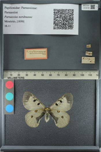 Media type: image;   Entomology 180188